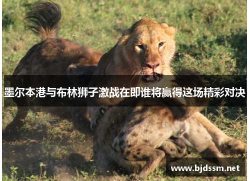 墨尔本港与布林狮子激战在即谁将赢得这场精彩对决